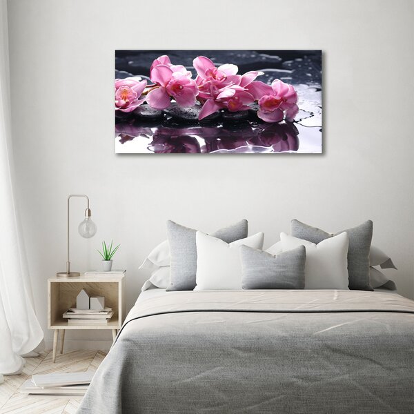 Foto obraz sklo tvrzené Růžová orchidej osh-28903356