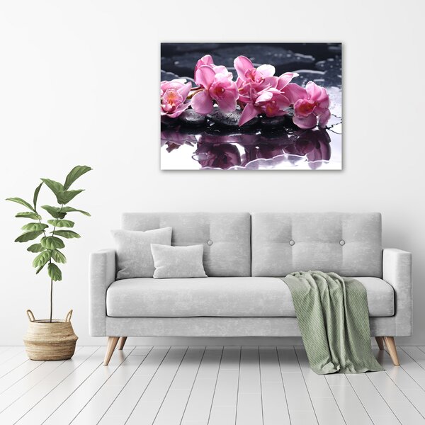 Foto obraz sklo tvrzené Růžová orchidej osh-28903356