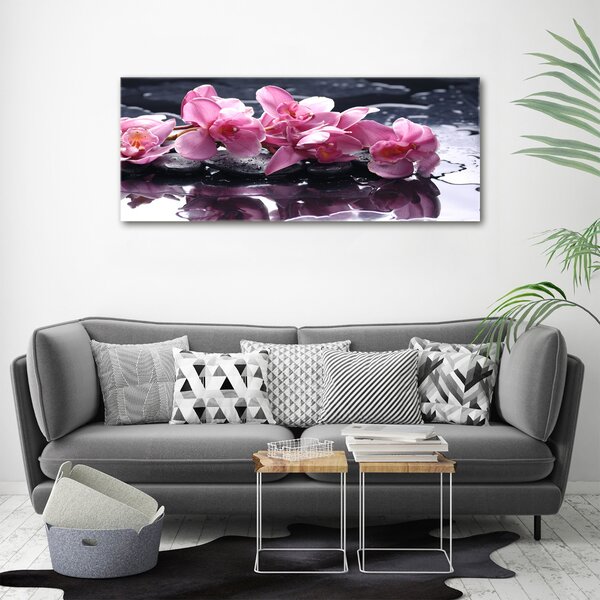 Foto obraz na plátně do obýváku Růžová orchidej oc-28903356