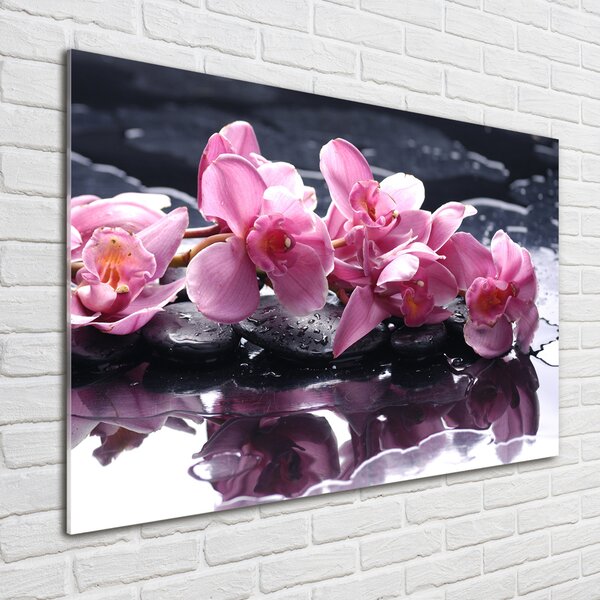 Foto obraz sklo tvrzené Růžová orchidej osh-28903356