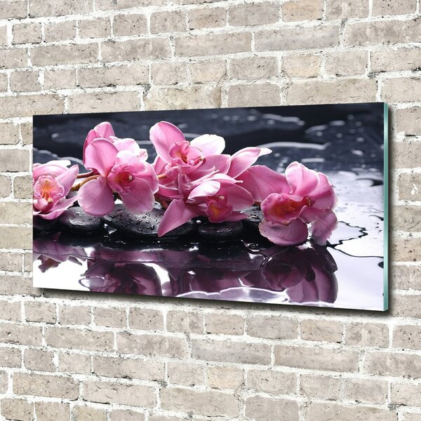 Foto obraz sklo tvrzené Růžová orchidej osh-28903356