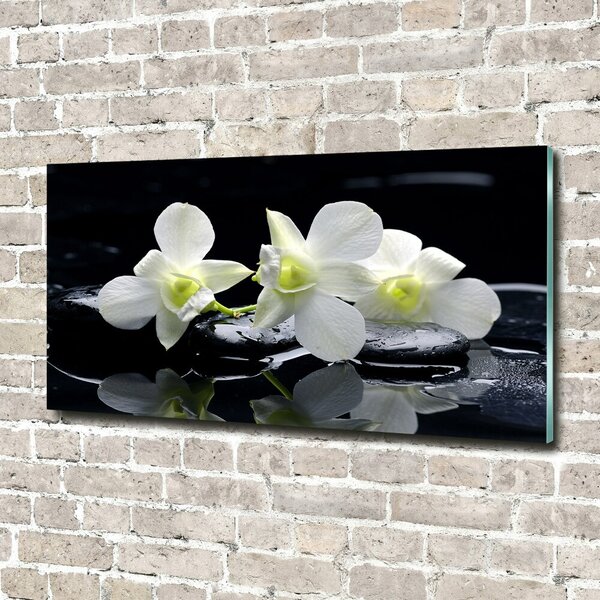 Foto obraz fotografie na skle Orchidej osh-28908662