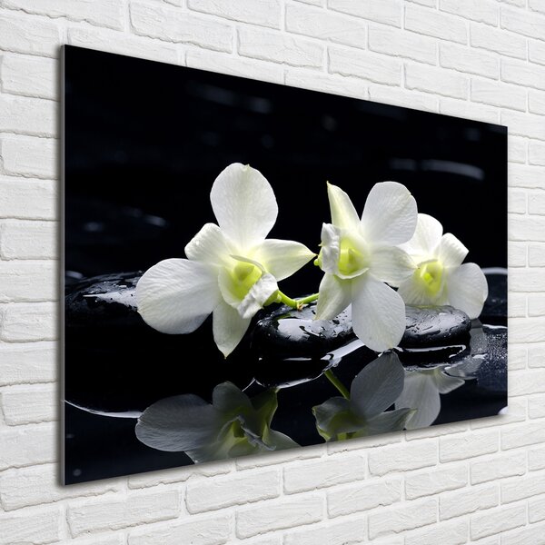 Foto obraz fotografie na skle Orchidej osh-28908662