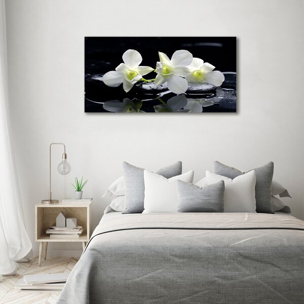 Foto-obraz canvas do obýváku Orchidej oc-28908662