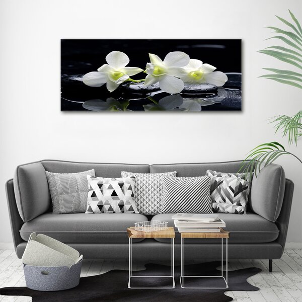 Foto-obraz canvas do obýváku Orchidej oc-28908662