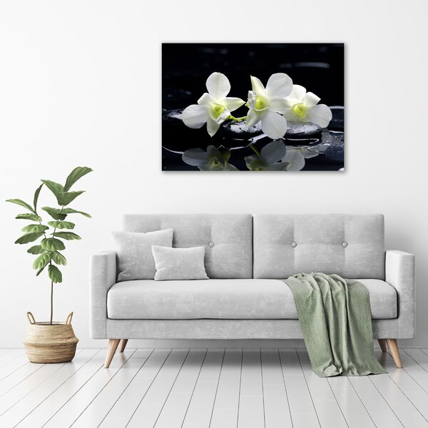 Foto-obraz canvas do obýváku Orchidej oc-28908662