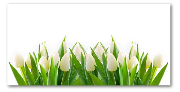 Fotoobraz na skle Bílé tulipány osh-30153186