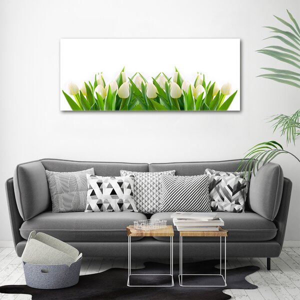 Foto obraz na plátně Bílé tulipány oc-30153186