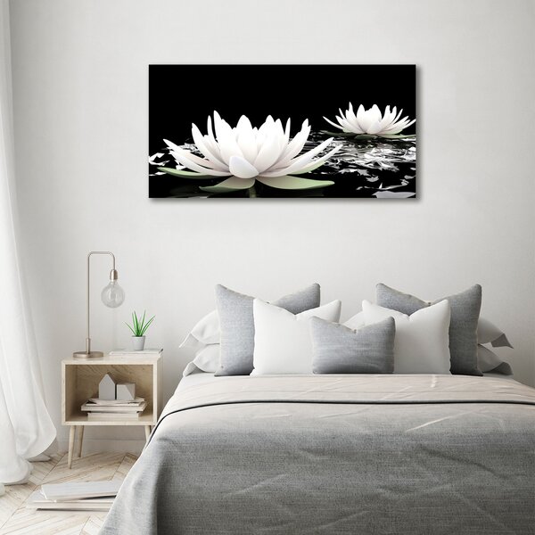 Moderní obraz canvas na rámu Vodní lilie oc-31116780