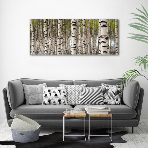 Moderní fotoobraz canvas na rámu Břízový les oc-31867188