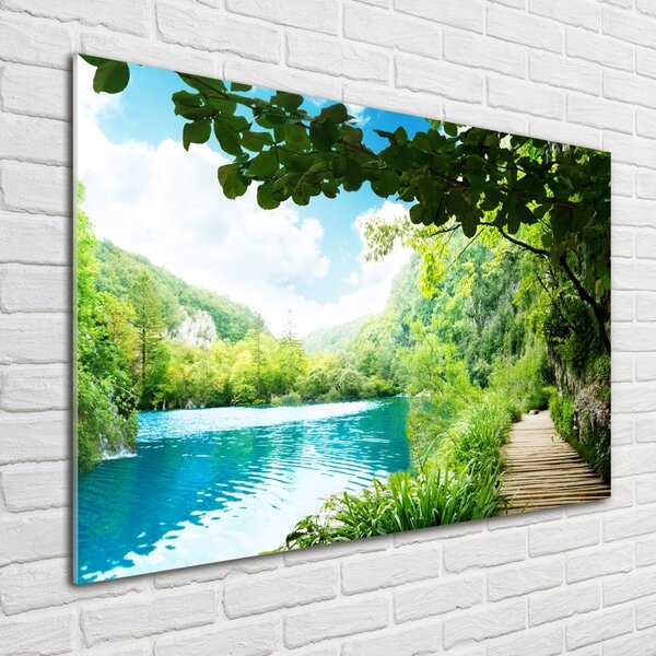 Foto obraz skleněný horizontální Vodopád v lese osh-36234695