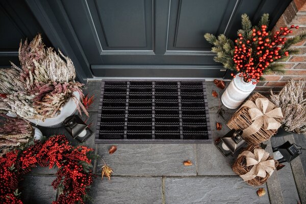 Hanse Home, Venkovní čistící rohož Mix Mats Brushes 105648 Black - na ven i na doma, 40x60, černá, exteriér