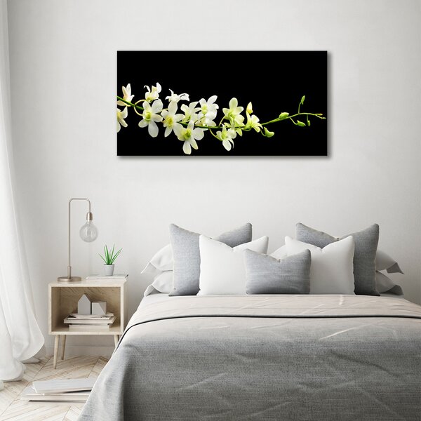 Foto obraz na plátně do obýváku Orchidej oc-4005190
