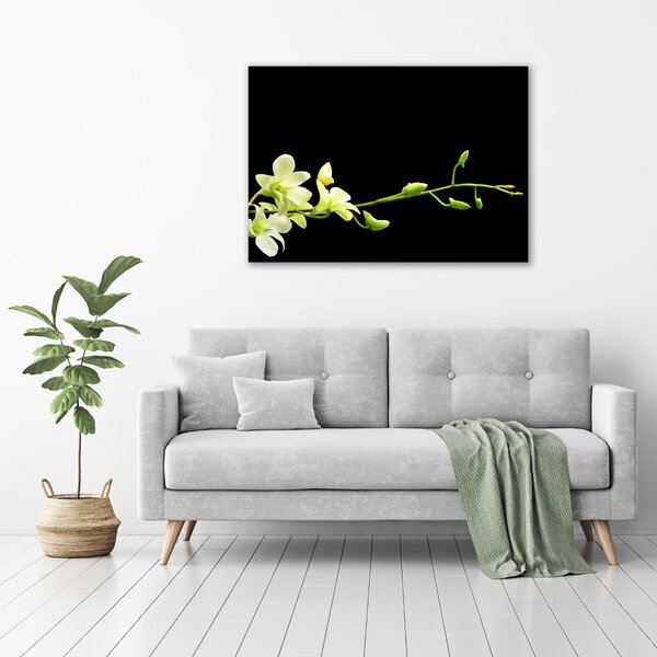 Foto obraz na plátně do obýváku Orchidej oc-4005190