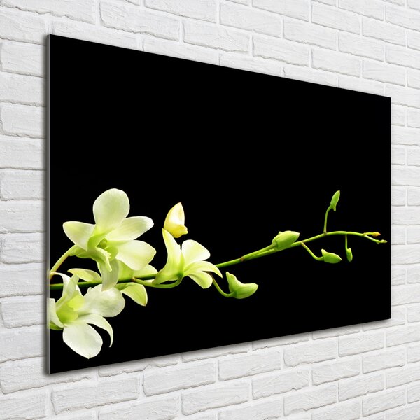Foto obraz sklo tvrzené Orchidej osh-4005190