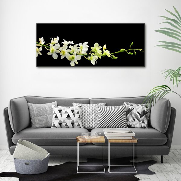 Foto obraz na plátně do obýváku Orchidej oc-4005190
