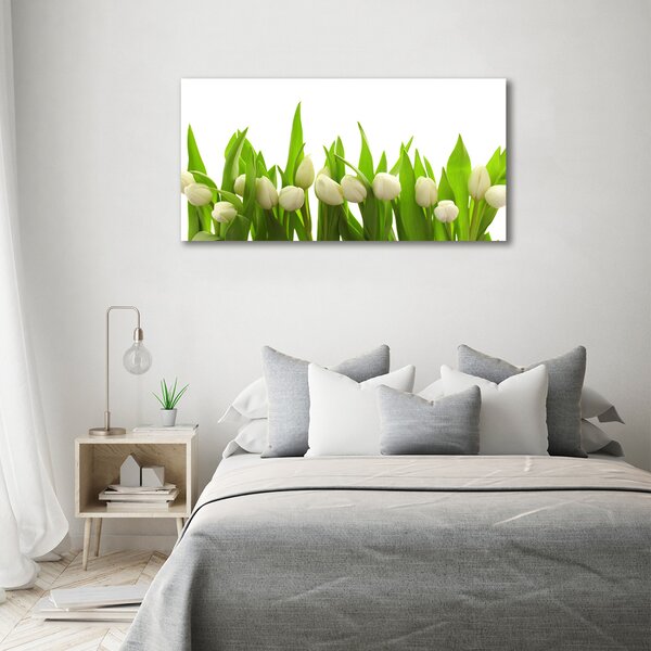Foto obraz na plátně do obýváku Bílé tulipány oc-40774643