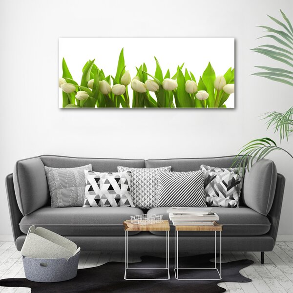 Foto obraz na plátně do obýváku Bílé tulipány oc-40774643