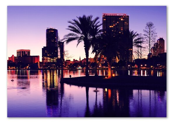Fotoobraz na skle Orlando USA osh-40340375