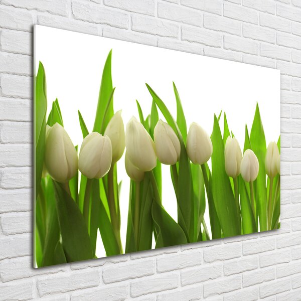 Foto-obrah sklo tvrzené Bílé tulipány osh-40774671