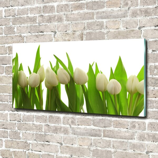 Foto-obrah sklo tvrzené Bílé tulipány osh-40774671