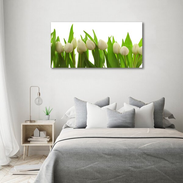 Foto-obrah sklo tvrzené Bílé tulipány osh-40774671