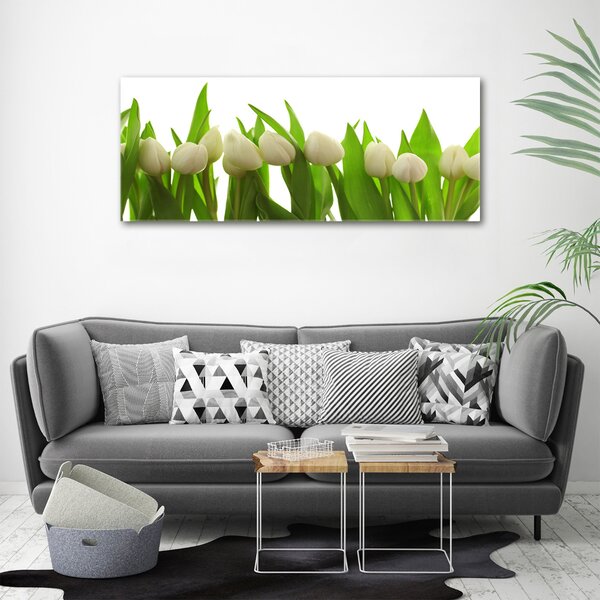 Foto-obrah sklo tvrzené Bílé tulipány osh-40774671