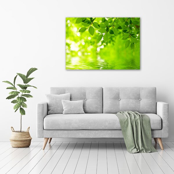 Moderní obraz canvas na rámu Zelené listí oc-41296480