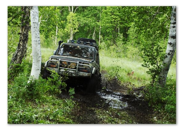 Foto-obraz fotografie na skle Jeep v lese osh-4134018