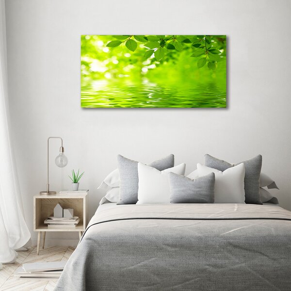 Moderní obraz canvas na rámu Zelené listí oc-41296480