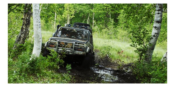 Foto-obraz fotografie na skle Jeep v lese osh-4134018