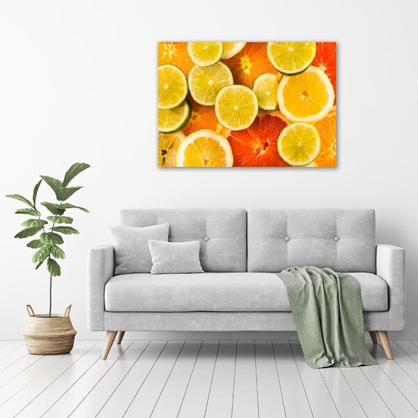 Foto obraz na plátně do obýváku Citrusové ovoce oc-41404635
