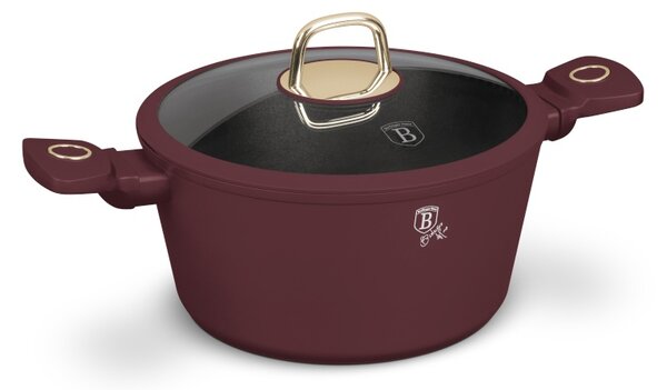 Kastrol s titanovým povrchem a poklicí 24 cm Leonardo Collection