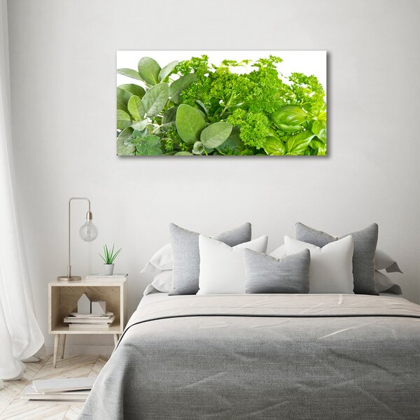 Foto obraz skleněný horizontální Byliny osh-42979948