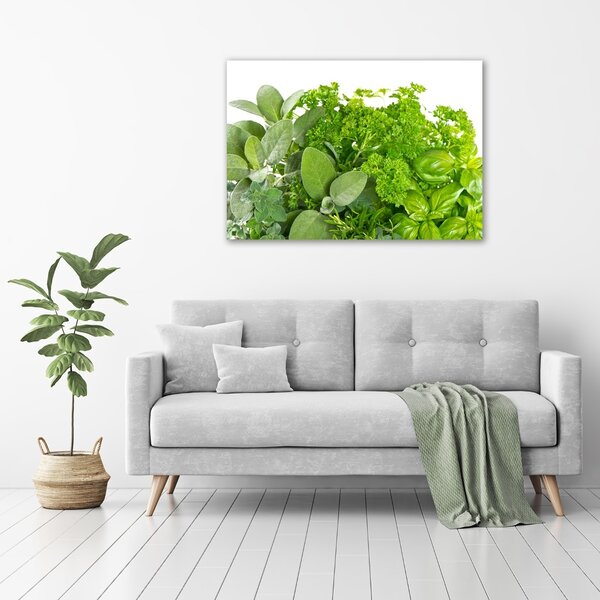 Foto obraz skleněný horizontální Byliny osh-42979948