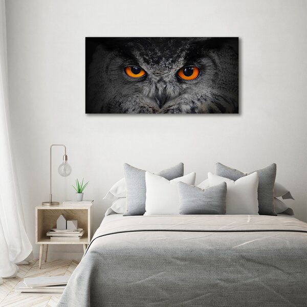 Moderní fotoobraz canvas na rámu Oči sovy oc-43647000