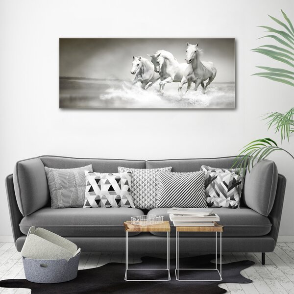Foto obraz canvas Bílí koně oc-44040199