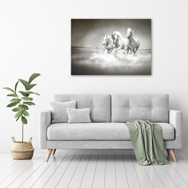 Foto obraz canvas Bílí koně oc-44040199