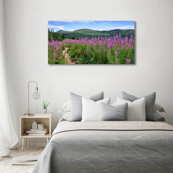 Moderní obraz canvas na rámu Zelené pahorky oc-44294505