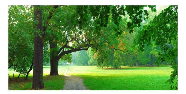 Foto obraz sklo tvrzené Podzimní park osh-45444718