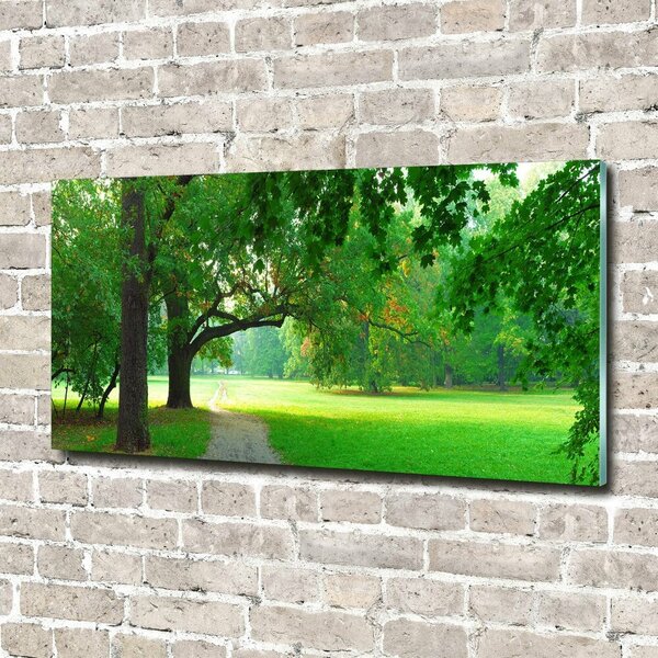 Foto obraz sklo tvrzené Podzimní park osh-45444718