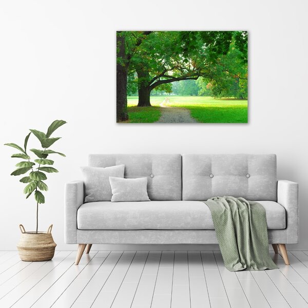 Foto obraz sklo tvrzené Podzimní park osh-45444718