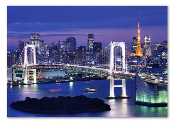 Foto obraz skleněný horizontální Most v Tokio osh-46506945