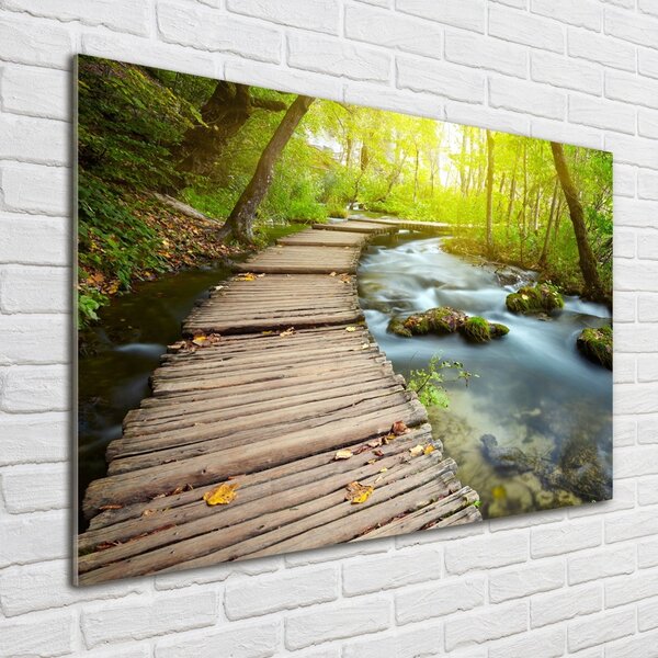 Foto obraz fotografie na skle Stezka nad řekou osh-46793485
