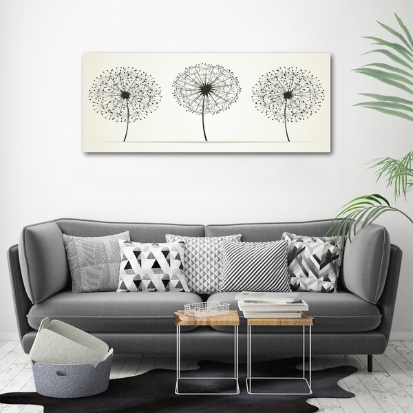Foto obraz canvas Pampelišky oc-47907929