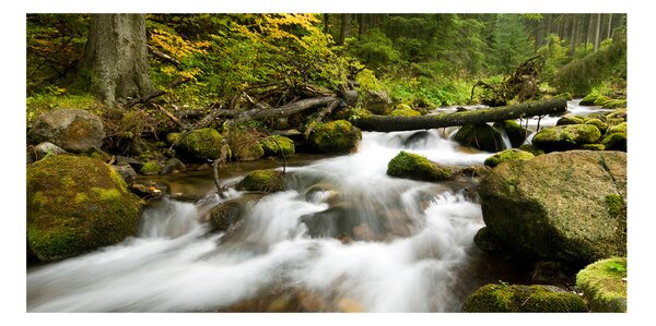 Foto obraz skleněný horizontální Olčiský potok osh-48996264