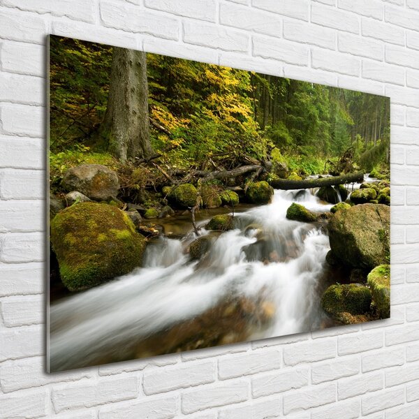 Foto obraz skleněný horizontální Olčiský potok osh-48996264