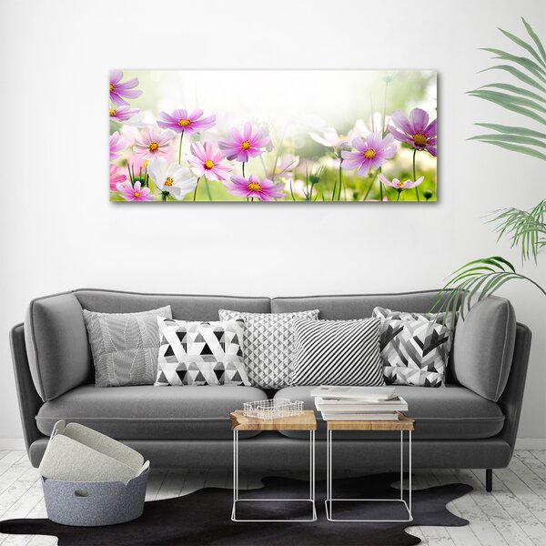 Foto obraz canvas Květiny na louce oc-49015861