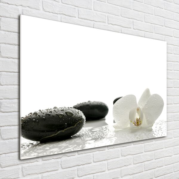 Foto-obrah sklo tvrzené Orchidej osh-49248021