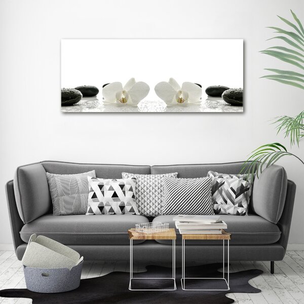 Foto-obrah sklo tvrzené Orchidej osh-49248021